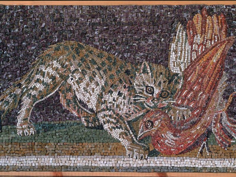 mosaico-pompei-copia